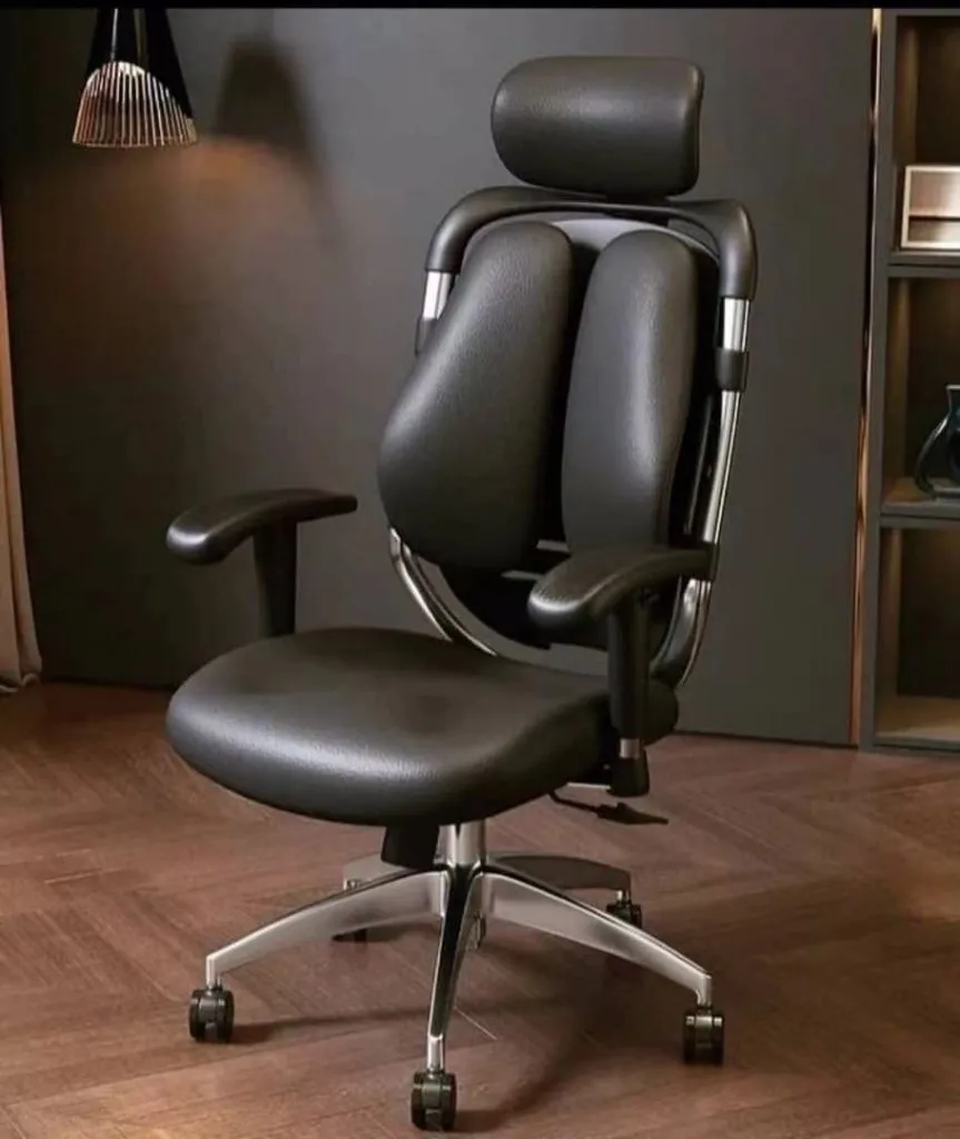 Ergonomic Kidney Office Chair